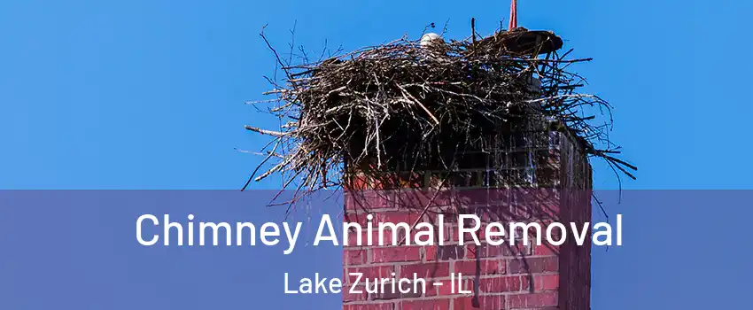  Chimney Animal Removal Lake Zurich - IL
