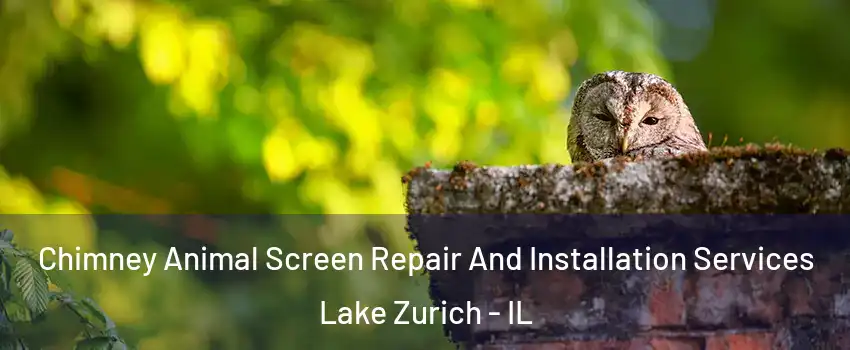  Chimney Animal Screen Repair And Installation Services Lake Zurich - IL