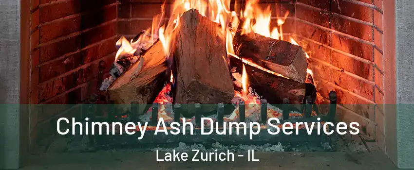  Chimney Ash Dump Services Lake Zurich - IL
