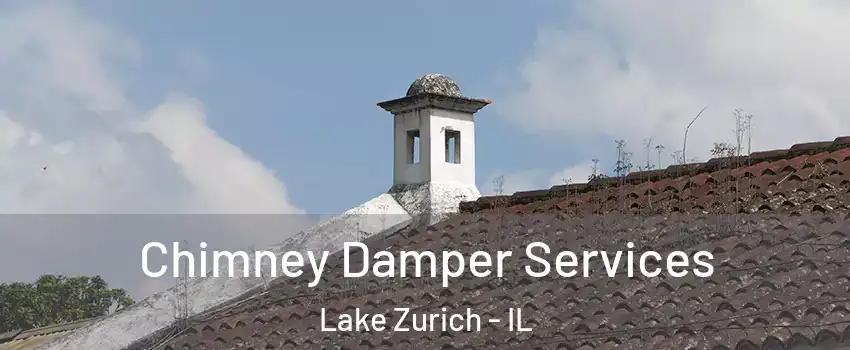  Chimney Damper Services Lake Zurich - IL