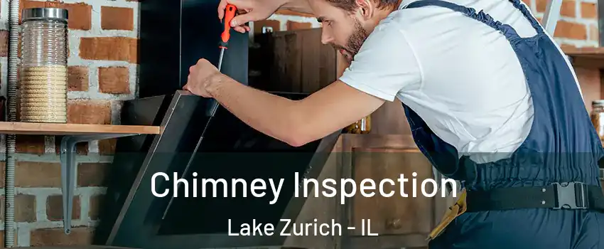  Chimney Inspection Lake Zurich - IL