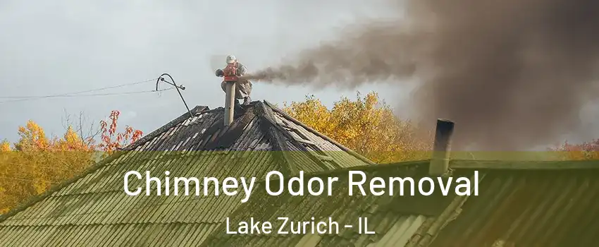  Chimney Odor Removal Lake Zurich - IL