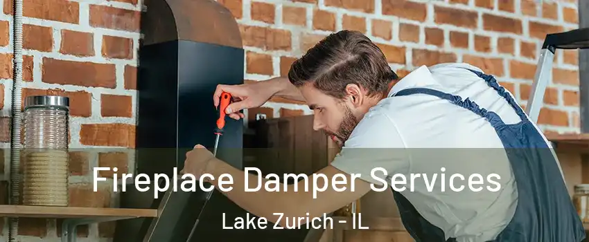  Fireplace Damper Services Lake Zurich - IL