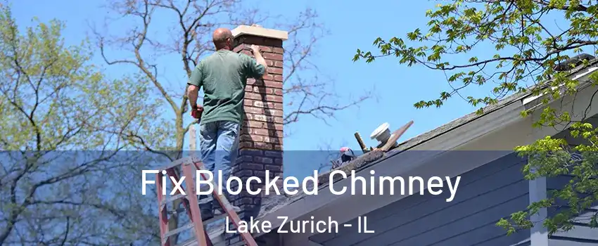  Fix Blocked Chimney Lake Zurich - IL