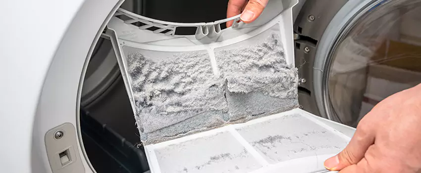 Best Dryer Lint Removal Company in Lake Zurich, Illinois