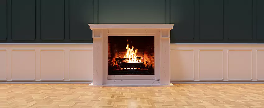 Napoleon Electric Fireplaces Inspection Service in Lake Zurich, Illinois