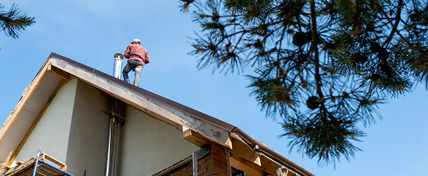 Birds Removal Contractors from Chimney in Lake Zurich, IL