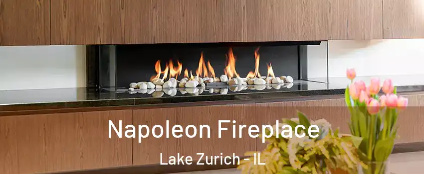  Napoleon Fireplace Lake Zurich - IL